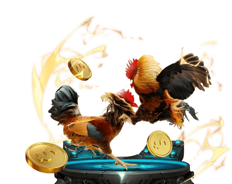 Phân Tích Chiến Kê Đá Gà